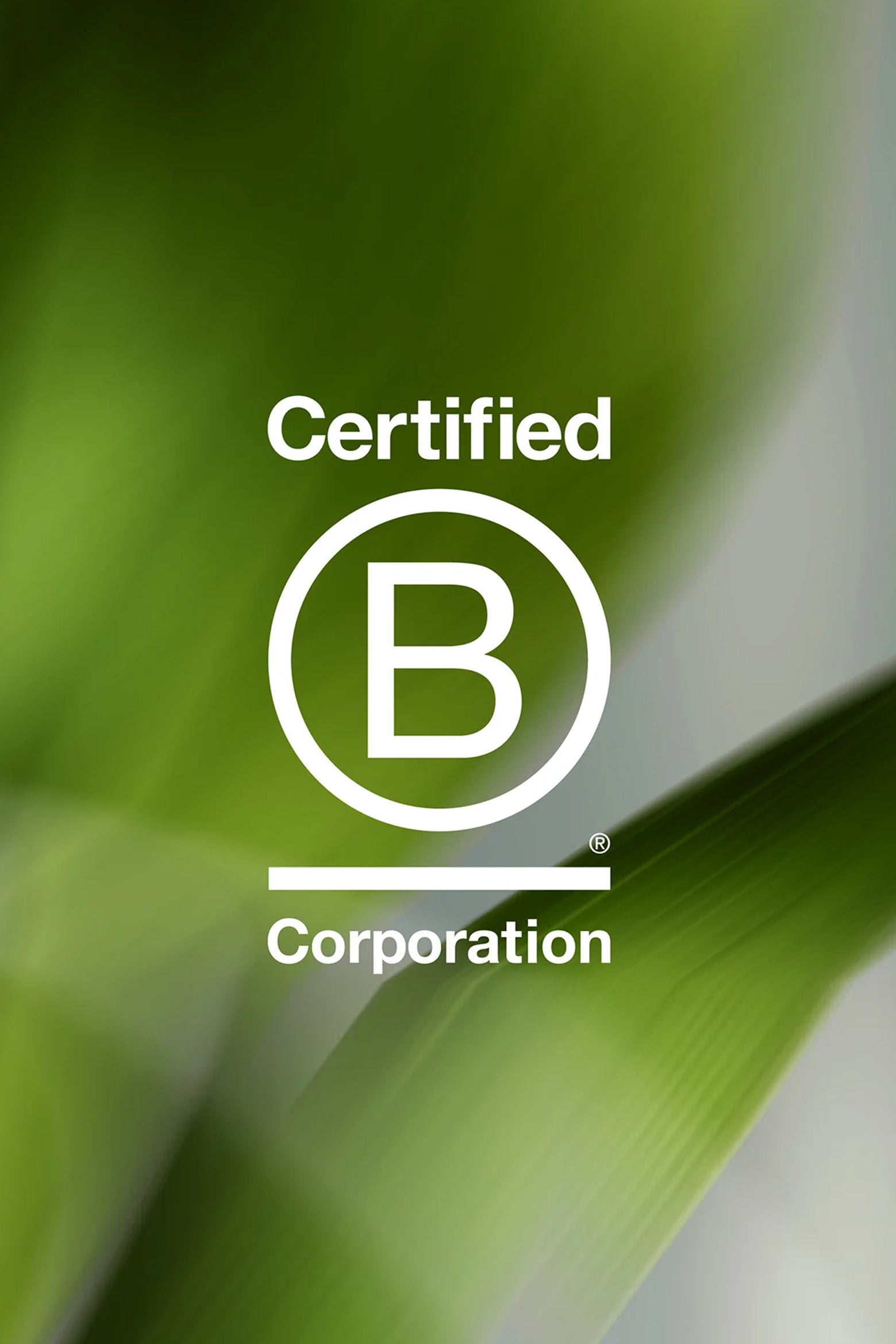 Toothpaste | ClickSmile™ - clicksmile.net 